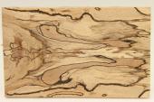 Plaquettes pour la coutellerie, Htre chauff, ref:PCHef70148