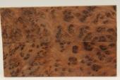 Plaquettes pour la coutellerie, Ronce de Thuya du Maroc, ref:PLpTM70321