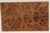 Plaquettes pour la coutellerie, Ronce de Thuya du Maroc, ref:PLpTM70321