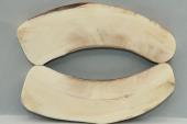 A-Plaquettes pour la coutellerie, dfense de phacochre, ref:PPHACO70391