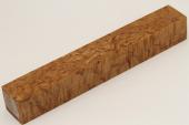 Carrelet  stylo, Bouleau de Carlie stabilis naturel, ref:SBMs70379na