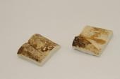 Mitres, dfense de phacochre, ref:MPHACO70466
