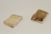 Mitres, dfense de phacochre, ref:MPHACO70465