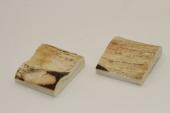 Mitres, dfense de phacochre, ref:MPHACO70591