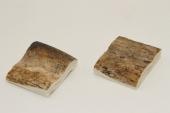 Mitres, dfense de phacochre, ref:MPHACO70593