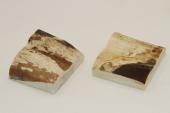 Mitres, dfense de phacochre, ref:MPHACO70590