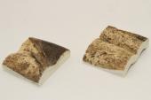 Mitres, dfense de phacochre, ref:MPHACO70598