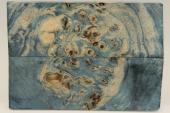 Plaquettes pour la coutellerie, Loupe de Peuplier stabilisée bleue, ref:PLpPEs70896b
