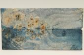 Plaquettes pour la coutellerie, Loupe de Peuplier stabilisée bleue, ref:PLpPEs70895b