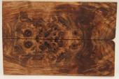 Plaquettes pour la coutellerie, Loupe de Peuplier stabilis marron, ref:PLpPEs70994ma