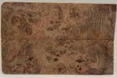 Plaquettes pour la coutellerie, Loupe de Peuplier stabilisé marron, ref:PLpPEs70997ma