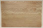 Plaquettes pour la coutellerie, Platane, ref:PPL71047