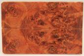 Plaquettes pour la coutellerie, Loupe de Peuplier stabilis orange, ref:PLpPEs71235o