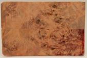Plaquettes pour la coutellerie, Loupe de Peuplier stabilisé orange, ref:PLpPEs71235o