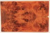 Plaquettes pour la coutellerie, Loupe de Peuplier stabilis orange, ref:PLpPEs71236o