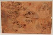 Plaquettes pour la coutellerie, Loupe de Peuplier stabilisé orange, ref:PLpPEs71236o