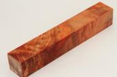 Carrelet  stylo, Peuplier stabilis orange, ref:SLpPEs71245o