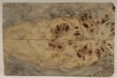 Plaquettes pour la coutellerie, Loupe de Peuplier stabilisé naturel, ref:PLpPEs71295na