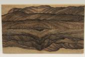 Plaquettes pour la coutellerie, Ziricote, ref:PZI71335
