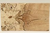 Plaquettes pour la coutellerie, Htre chauff, ref:PCHef71597