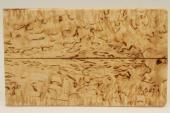 Plaquettes pour la coutellerie, Bouleau madr, ref:PBM71863