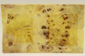 Plaquettes pour la coutellerie, Loupe de Peuplier stabilis&eacute; jaune, ref:PLpPEs72600j