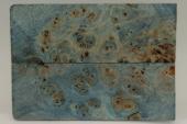 Plaquettes pour la coutellerie, Loupe de Peuplier stabilis&eacute;e bleue, ref:PLpPEs73448b