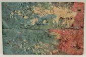 Plaquettes pour la coutellerie, Bouleau de Car&eacute;lie stabilis&eacute; multicolore, ref:PBMs74195mu