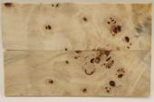 Plaquettes pour la coutellerie, Loupe de Peuplier stabilis&eacute; naturel, ref:PLpPEs74210na
