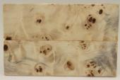 Plaquettes pour la coutellerie, Loupe de Peuplier stabilis&eacute; naturel, ref:PLpPEs74212na