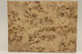 Plaquettes pour la coutellerie, Loupe de Peuplier stabilis&eacute; naturel, ref:PLpPEs74213na