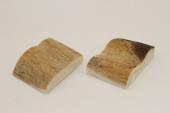 Mitres, d�fense de phacoch�re, ref:MPHACO74345