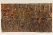 Plaquettes pour la coutellerie, corne de b�lier, ref:PBLR74490