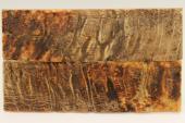 Plaquettes pour la coutellerie, corne de b�lier, ref:PBLR74492