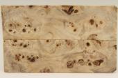 Plaquettes pour la coutellerie, Loupe de Peuplier stabilis&eacute; naturel, ref:PLpPEs74554na