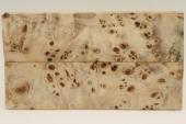 Plaquettes pour la coutellerie, Loupe de Peuplier stabilis&eacute; naturel, ref:PLpPEs74553na