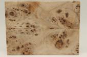 Plaquettes pour la coutellerie, Loupe de Peuplier stabilis&eacute; naturel, ref:PLpPEs74557na