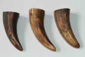 Pointes de dents de phacoch&egrave;re, lot de 3, ref:PHACOpT74784