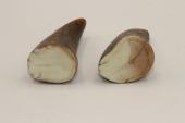 Pointes de dents de phacoch&egrave;re, lot de 2, ref:PHACOpT74785