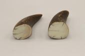 Pointes de dents de phacoch&egrave;re, lot de 2, ref:PHACOpT74787