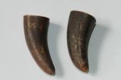 Pointes de dents de phacoch&egrave;re, lot de 2, ref:PHACOpT74787