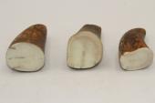 Pointes de dents de phacoch&egrave;re, lot de 3, ref:PHACOpT74789