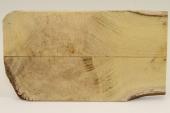 Plaquettes pour la coutellerie, Loupe d'acacia, ref:PLpAc74841