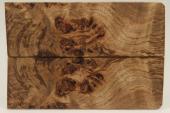 Plaquettes pour la coutellerie, Loupe de Peuplier stabilis�e marron, ref:PLpPEs74981ma