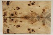 Plaquettes pour la coutellerie, Loupe de Peuplier stabilis� naturel, ref:PLpPEs74993na