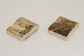 Mitres, d�fense de phacoch�re, ref:MPHACO75029
