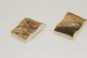 Mitres, d�fense de phacoch�re, ref:MPHACO75033