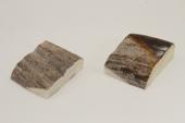 Mitres, d�fense de phacoch�re, ref:MPHACO75031