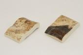 Mitres, d�fense de phacoch�re, ref:MPHACO75035