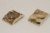 Mitres, d�fense de phacoch�re, ref:MPHACO75038